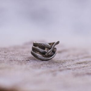 Bague serpent homme