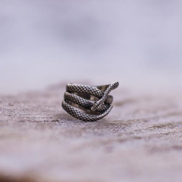 Bague serpent homme