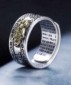 Bague bouddhiste homme pixiu